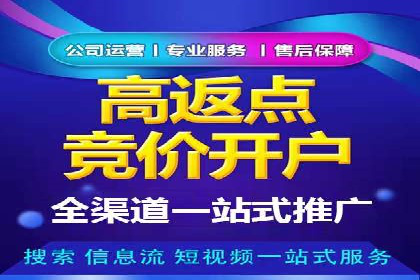 百度竞价推广代运营经典案例分析
